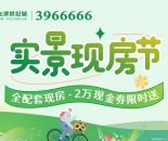 效果图