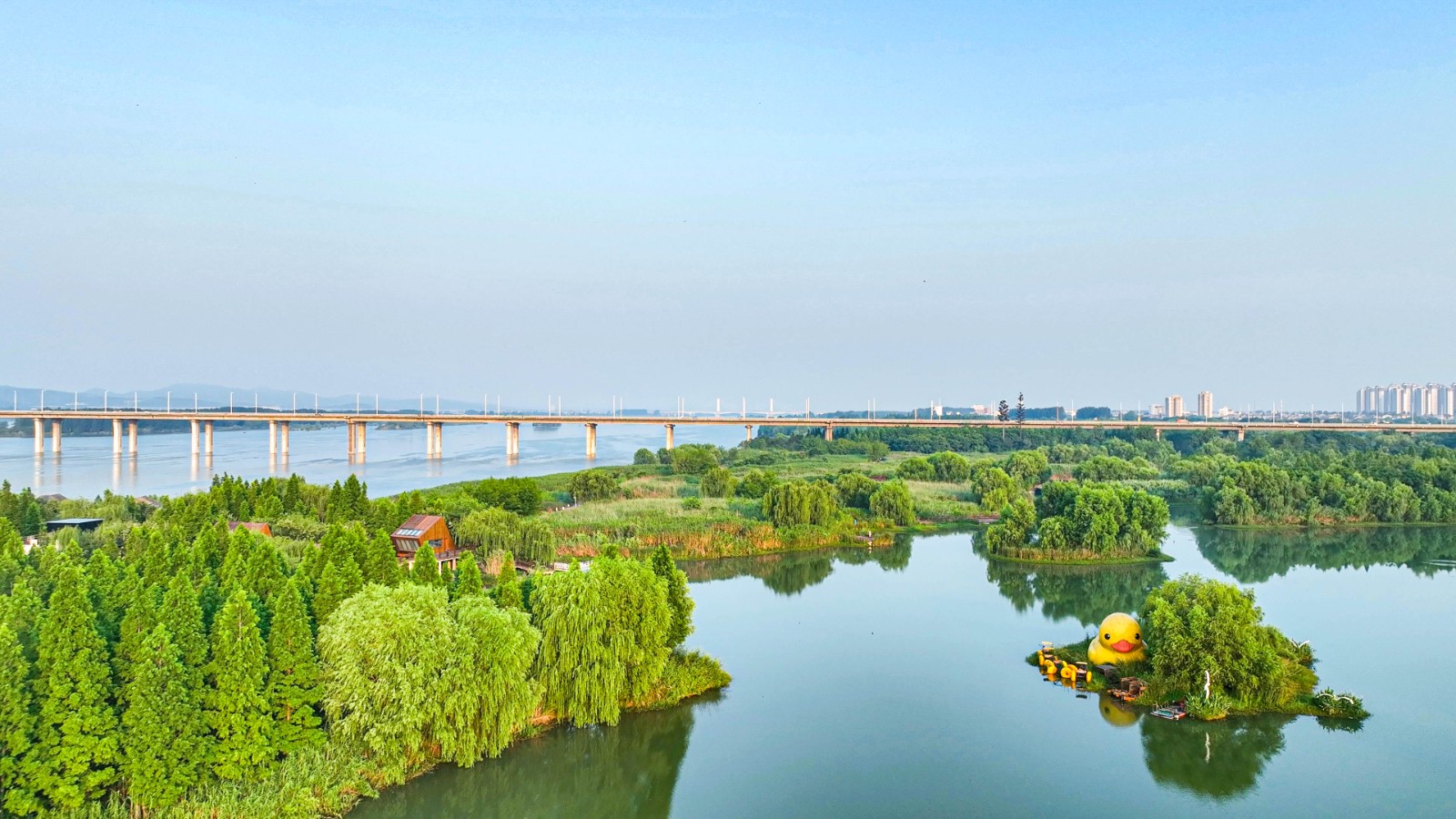 实景图