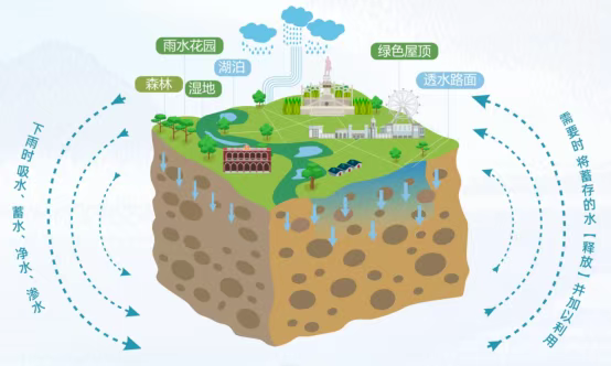 微信图片_20250303084406.png