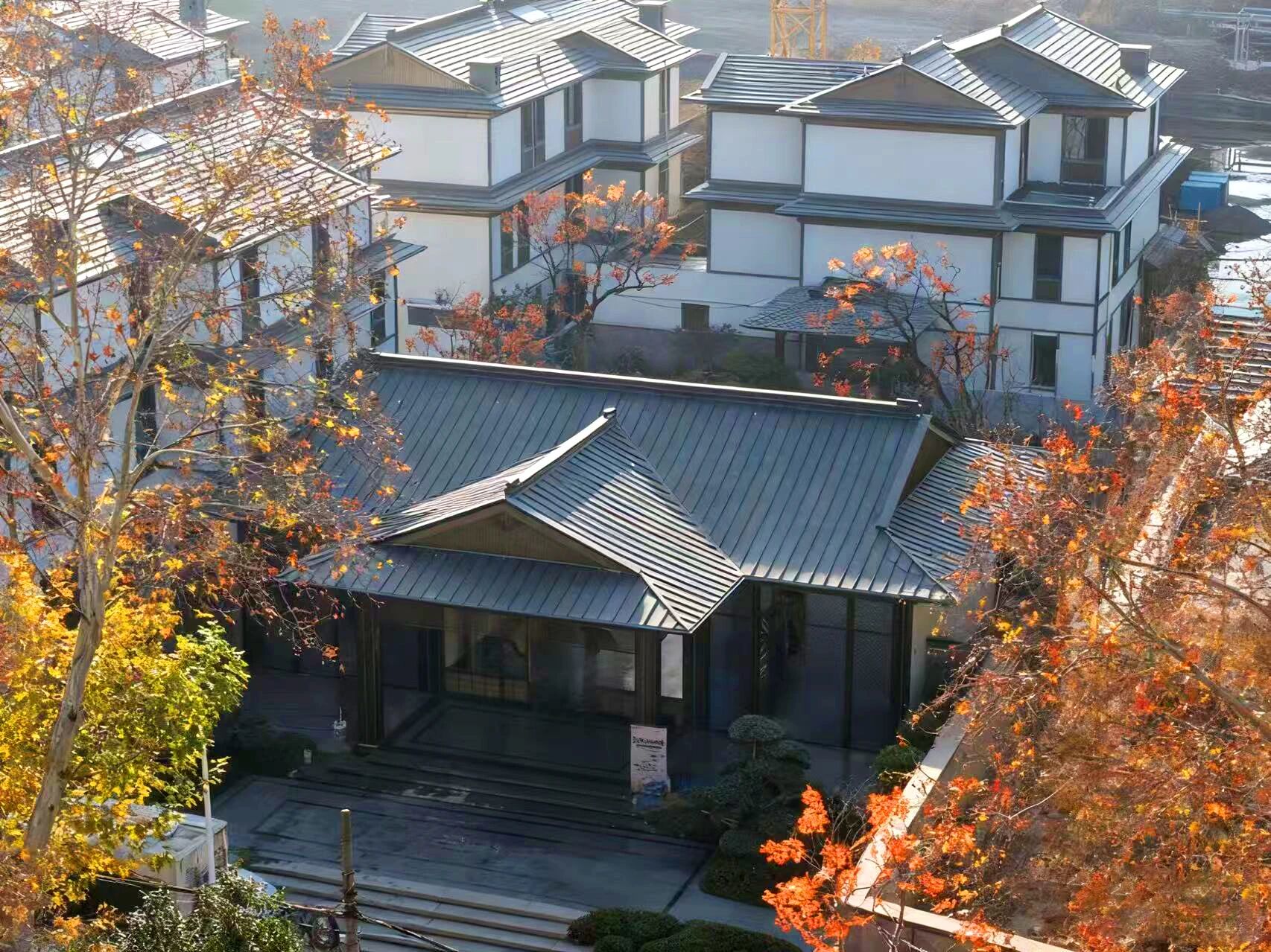 1769159911683355.jpg 1769159911683355.jpg