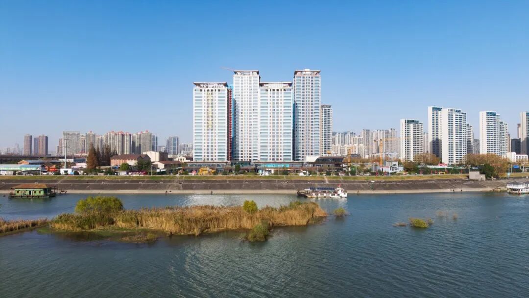 1772284549917319.jpg 1772284549917319.jpg