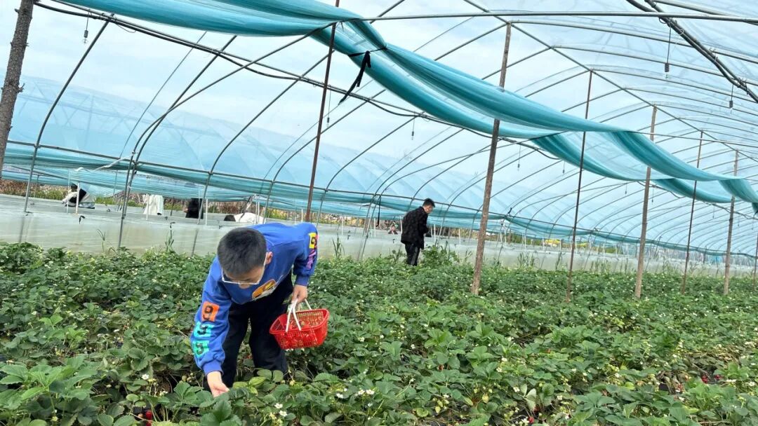 1774232754803462.jpg 1774232754803462.jpg