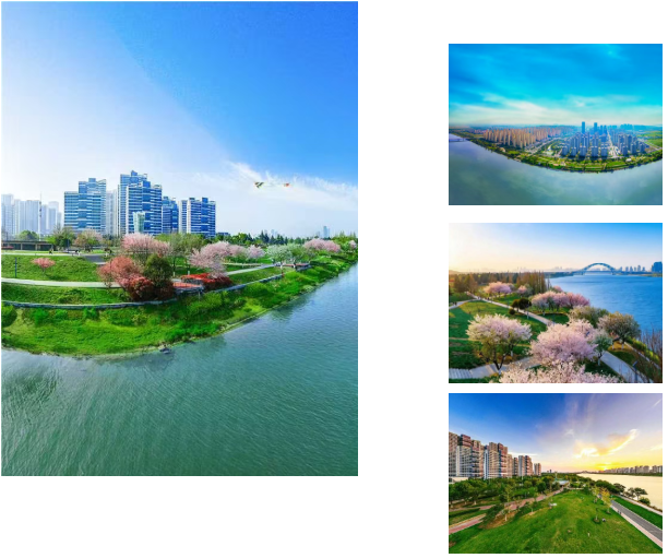 1774862798548479.png 2.png