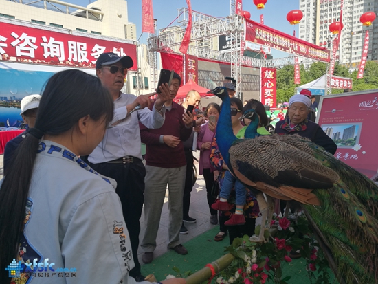 QQ图片20170422205414_副本.jpg