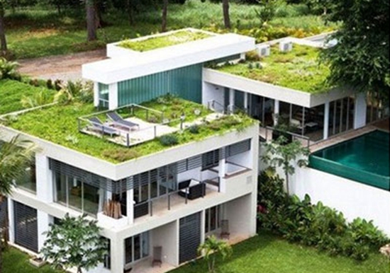 绿色建筑2.jpg