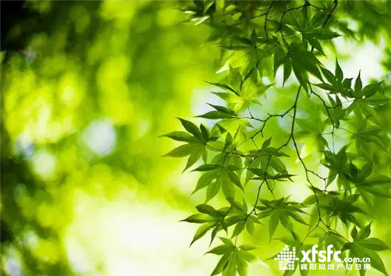 搜狗截图17年07月06日1025_8.jpg