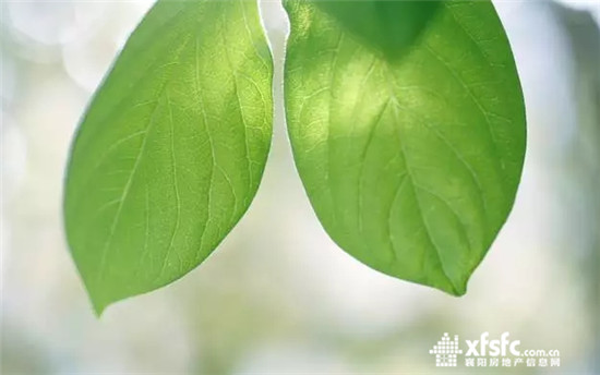 搜狗截图17年07月06日1026_9.jpg