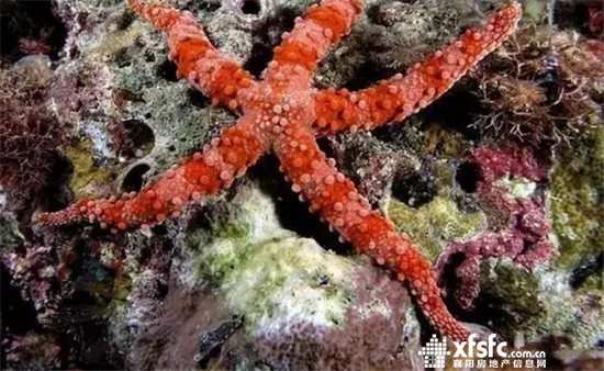 搜狗截图17年07月13日0930_9.jpg