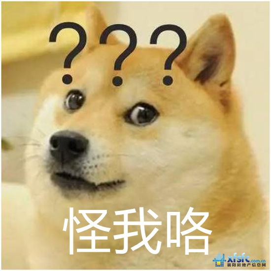 单身狗1.jpg