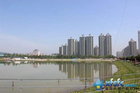 骧龙国际.jpg