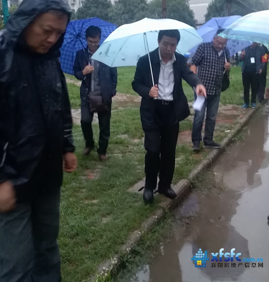 桥银尔.jpg