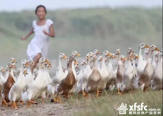 微信图片_20170908155512.jpg
