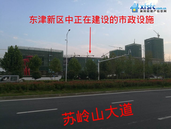 苏岭山大道 .jpg