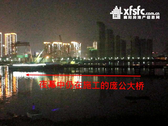 庞公大桥 夜幕.jpg