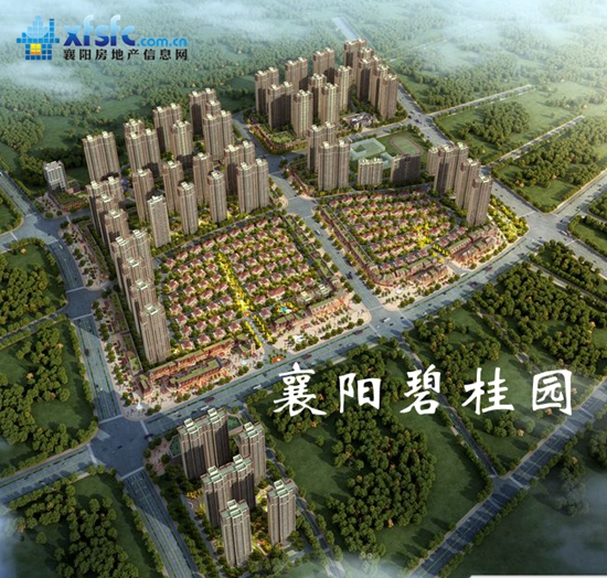 碧桂园P哈哈哈哈或或.jpg