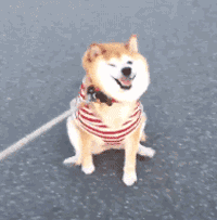 微信图片_20170922153000.gif