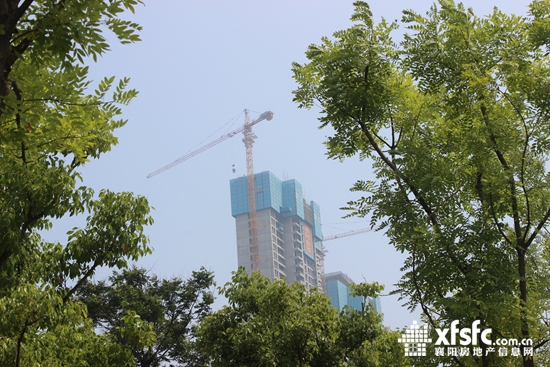江滩3.JPG