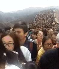 东津12.gif