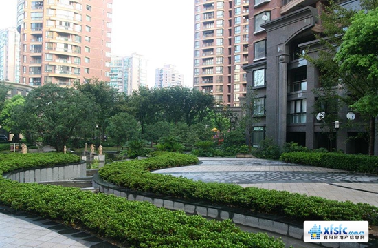 小区11.jpg
