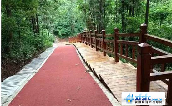 绿道3.jpg
