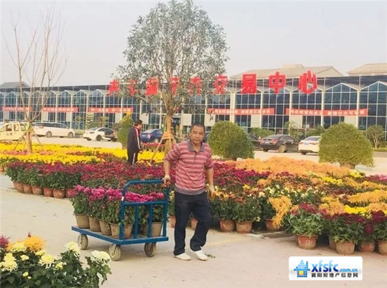 搜狗截图17年11月06日1451_46.jpg