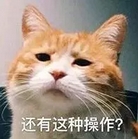 搜狗截图17年11月13日0921_1.jpg