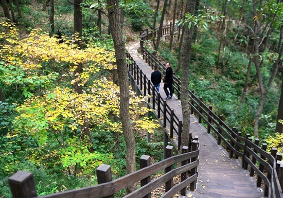岘山录到.jpg