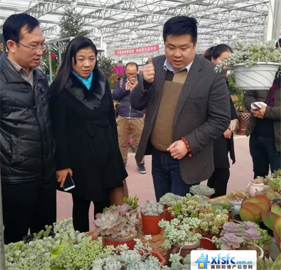 搜狗截图17年12月07日0952_1.jpg