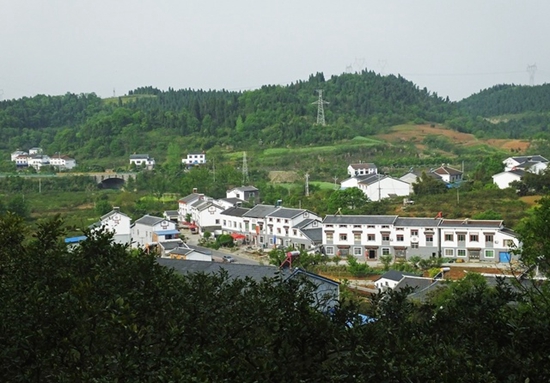 美丽乡村.jpg