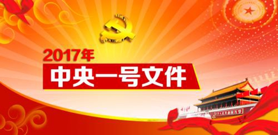中央一号文件.jpg