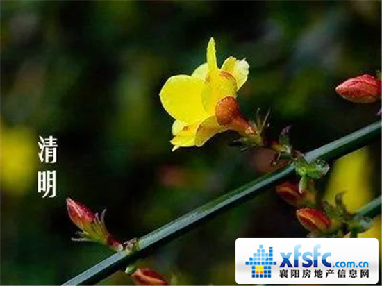 微信图片_20180404161939.jpg