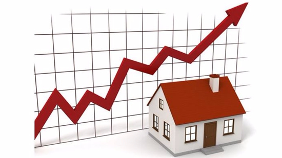 19085524b46d0737dc1098.jpg 20160809102002Z7eM.jpg