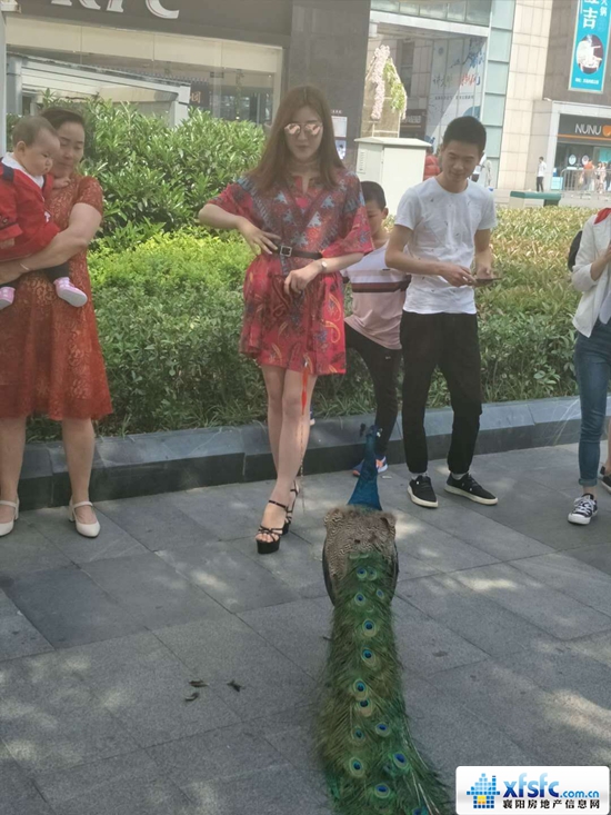 微信图片_20180502164404.jpg