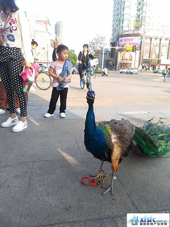 微信图片_20180502164413.jpg