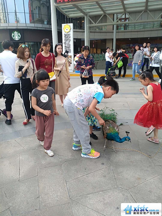 微信图片_20180502164425.jpg