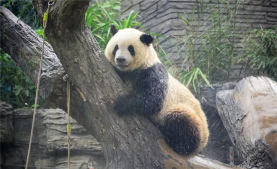 搜狗截图18年05月17日1530_30.jpg