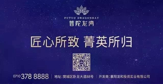 龙5.jpg