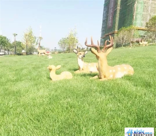 搜狗截图18年05月24日0922_10.jpg
