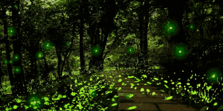 微信图片_20180602160304.gif