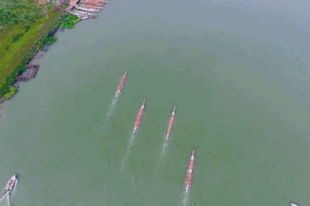 微信图片_20180613091453.gif