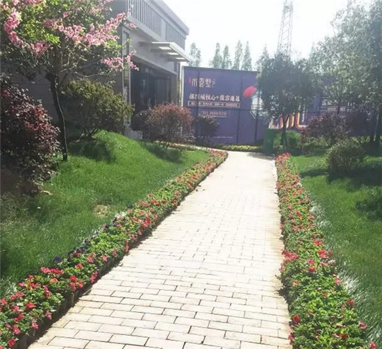 搜狗截图18年08月09日0906_6.jpg
