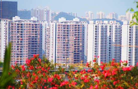 12091725c0bfaaa8577950.jpg _________3.x_large.jpg