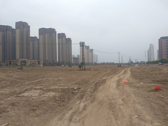 绿地12.jpg