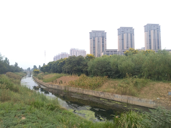 绿地大李沟.jpg