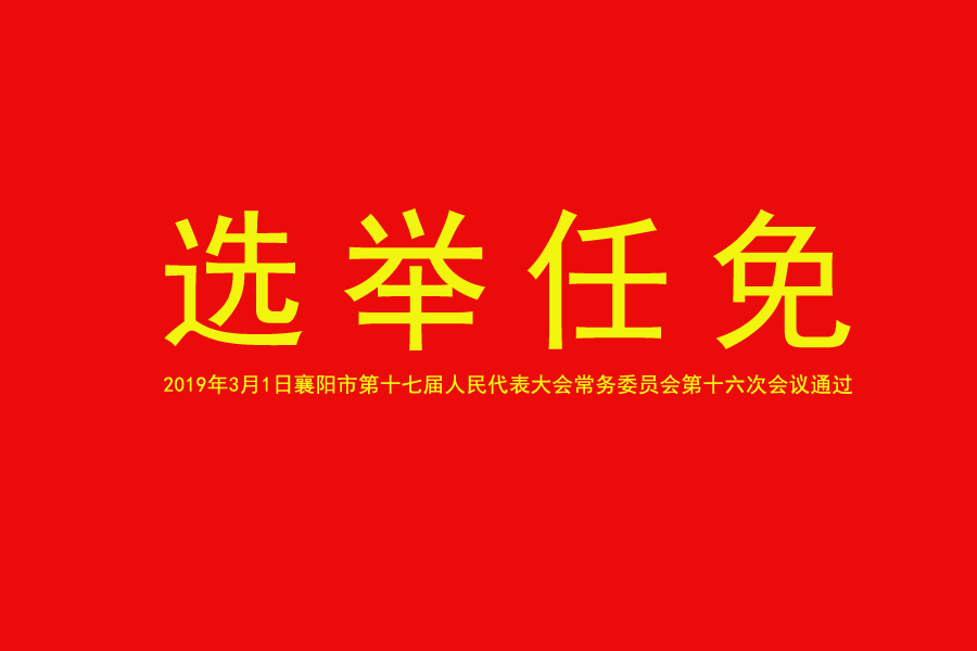 选举任免.jpg