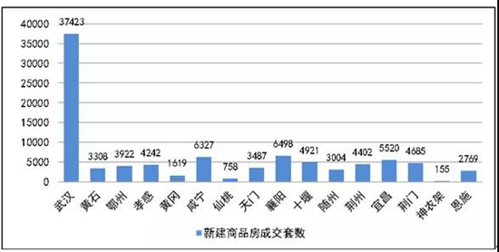 30201808367c8495939348.jpg 4.jpg