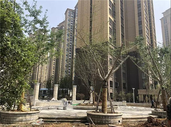 微信图片_20190510092226.jpg