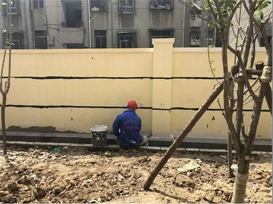 微信图片_20190510092306.jpg