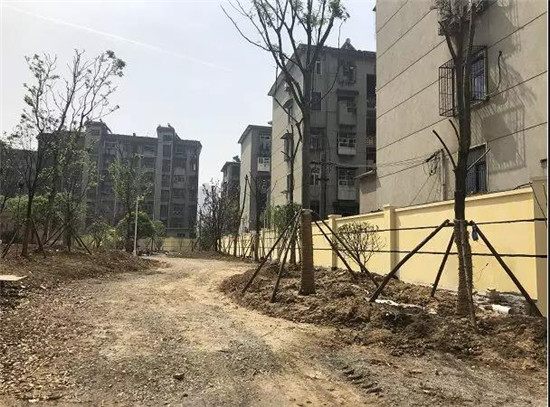 微信图片_20190510092308.jpg