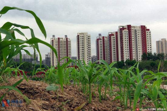 241446135c5a376d9a7598.jpg tudi1.jpg